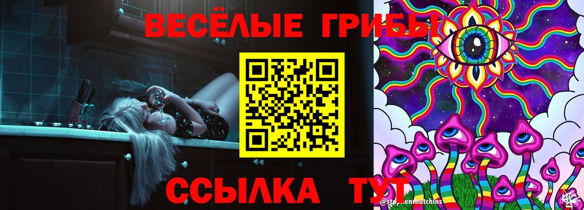 Камышлов  Псилоцибиновые грибы прущие грибы  Галлюциногенные грибы мухоморы  Вход с VPN 