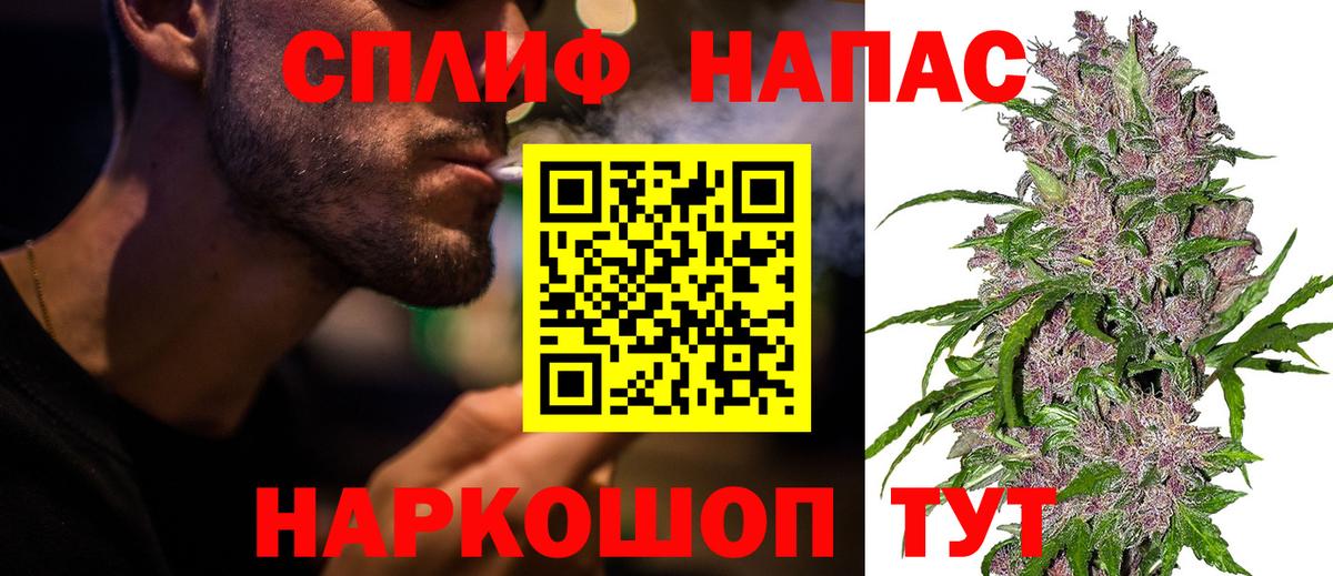 Камышлов  Шишки марихуана марихуана  Вход с VPN  Конопля конопля  Бошки Шишки план 